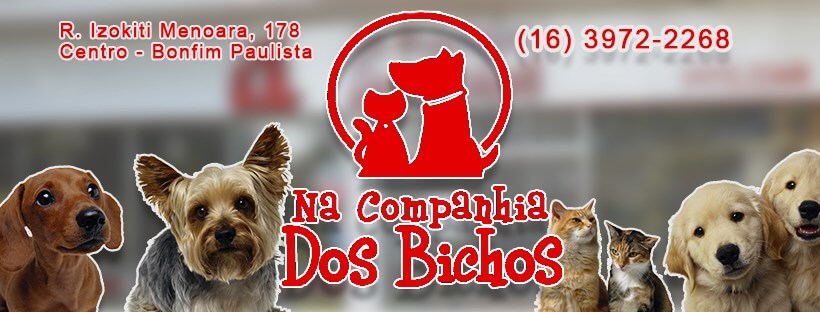 Passeador de cães ( DOG WALKER ) em Bonfim Paulista