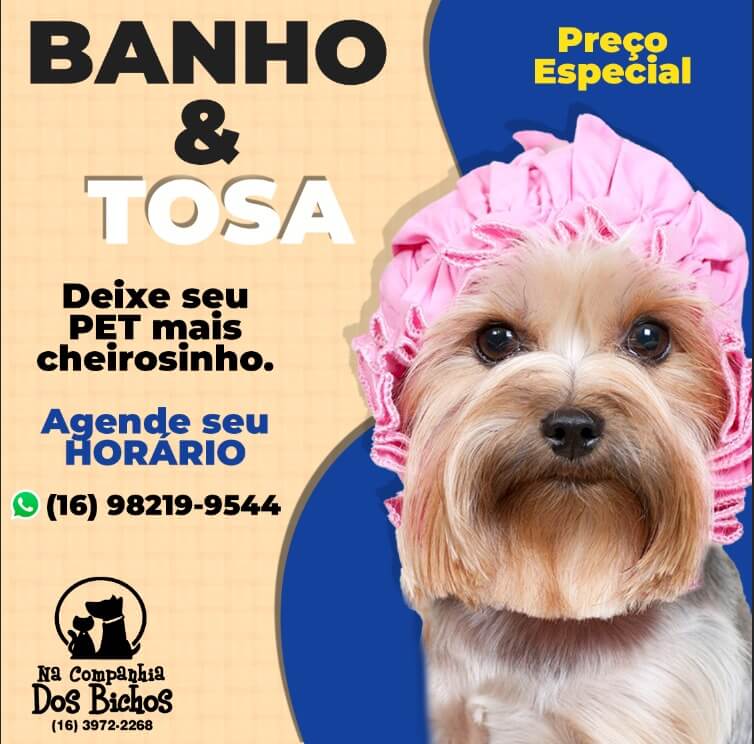 Rações para gatos em promoção em Bonfim Paulista