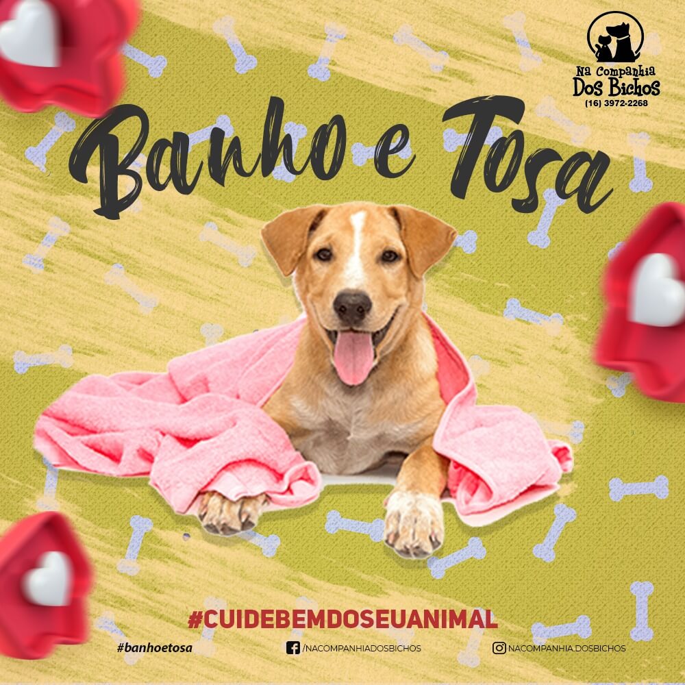 Rações para pássaros em promoção em Bonfim Paulista