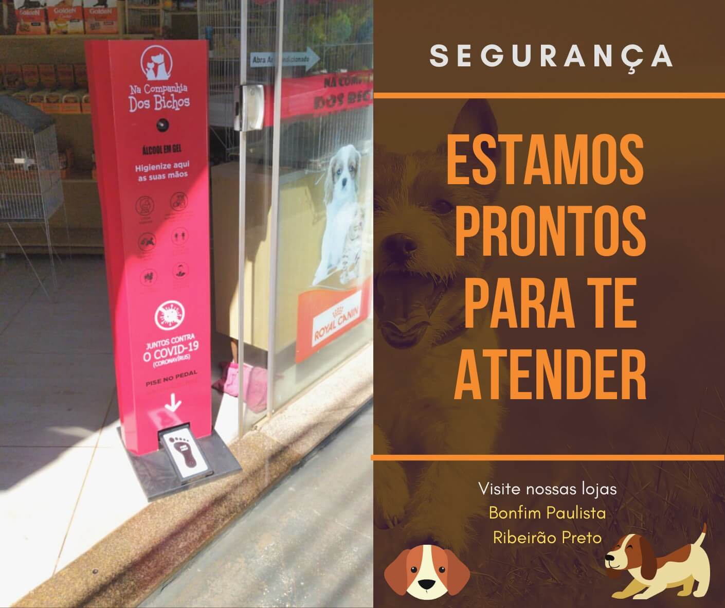 Medicamentos e vacinas para animais em Bonfim Paulista