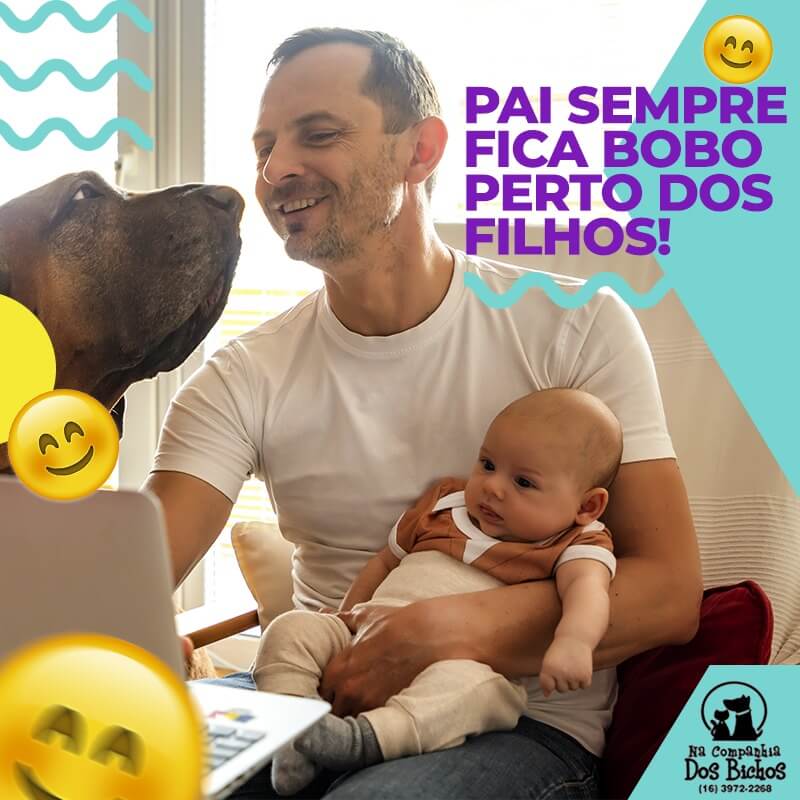 Gaiolas para pássaros em Bonfim Paulista